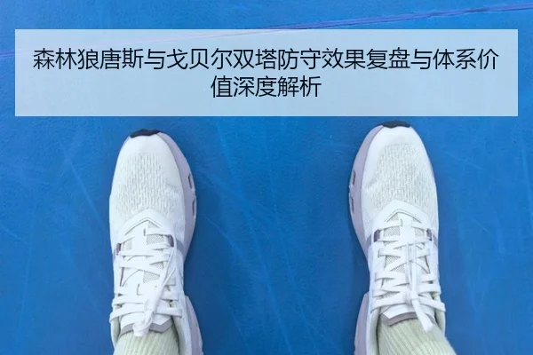 森林狼唐斯与戈贝尔双塔防守效果复盘与体系价值深度解析