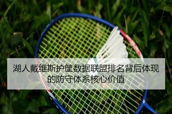 湖人戴维斯护筐数据联盟排名背后体现的防守体系核心价值