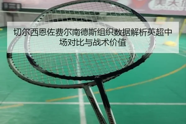 切尔西恩佐费尔南德斯组织数据解析英超中场对比与战术价值
